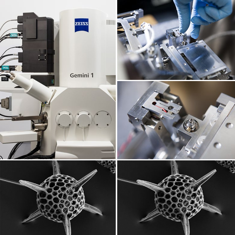 場發射掃描電鏡 場發射掃描電鏡