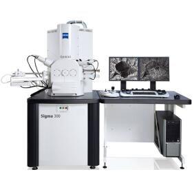 蔡司Sigma 500電子掃描顯微鏡蔡司sigma掃描電鏡 蔡司Sigma 500電子掃描顯微鏡蔡司sigma掃描電鏡