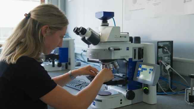 微信截圖_20240607115439 微信截圖_20240607115439