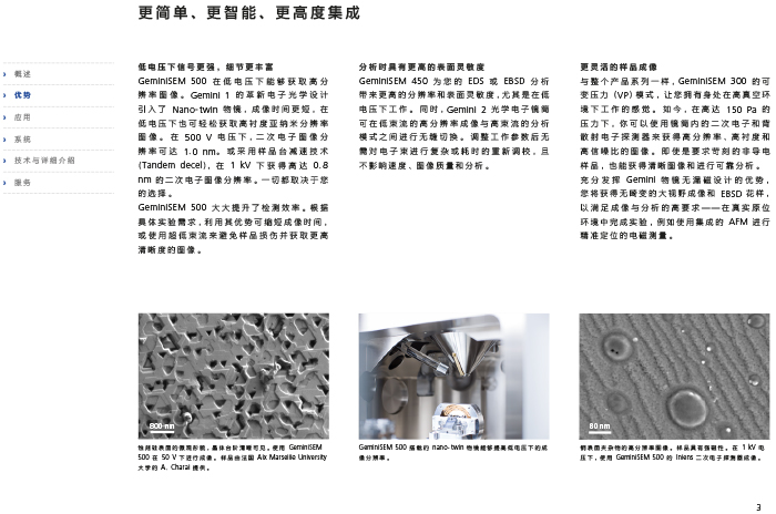 掃描電鏡SEM 掃描電鏡SEM