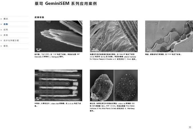CN_40_011_095_GeminiSEM_rel_3_1-11 CN_40_011_095_GeminiSEM_rel_3_1-11