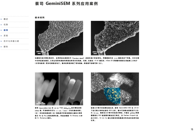 CN_40_011_095_GeminiSEM_rel_3_1-15 CN_40_011_095_GeminiSEM_rel_3_1-15