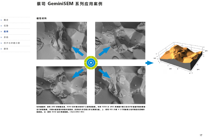 CN_40_011_095_GeminiSEM_rel_3_1-17 CN_40_011_095_GeminiSEM_rel_3_1-17