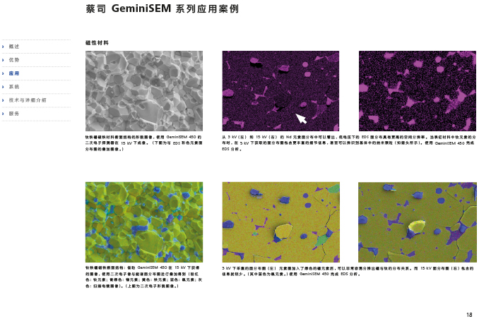 CN_40_011_095_GeminiSEM_rel_3_1-18 CN_40_011_095_GeminiSEM_rel_3_1-18
