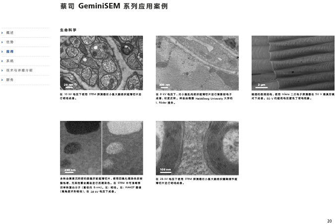 CN_40_011_095_GeminiSEM_rel_3_1-20 CN_40_011_095_GeminiSEM_rel_3_1-20