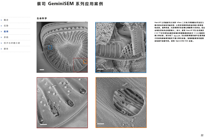 CN_40_011_095_GeminiSEM_rel_3_1-22 CN_40_011_095_GeminiSEM_rel_3_1-22
