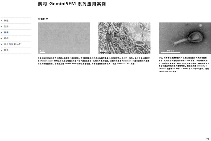 CN_40_011_095_GeminiSEM_rel_3_1-23 CN_40_011_095_GeminiSEM_rel_3_1-23