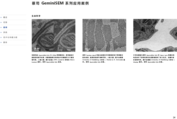 CN_40_011_095_GeminiSEM_rel_3_1-24 CN_40_011_095_GeminiSEM_rel_3_1-24