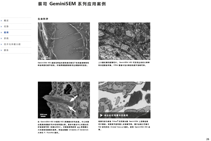 CN_40_011_095_GeminiSEM_rel_3_1-26 CN_40_011_095_GeminiSEM_rel_3_1-26