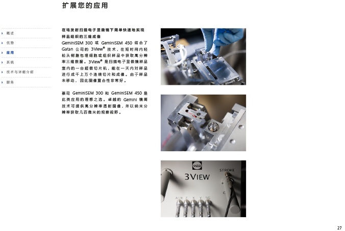 CN_40_011_095_GeminiSEM_rel_3_1-27 CN_40_011_095_GeminiSEM_rel_3_1-27