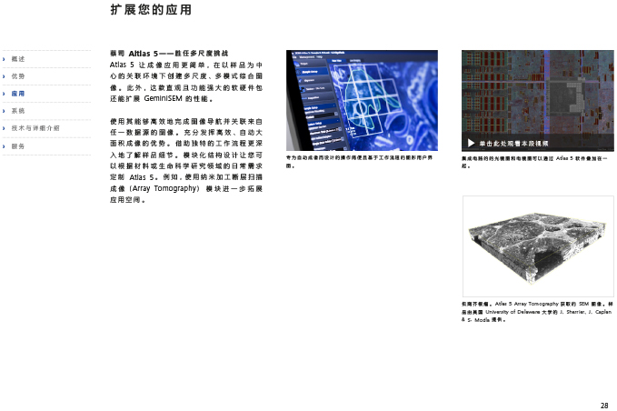 CN_40_011_095_GeminiSEM_rel_3_1-28 CN_40_011_095_GeminiSEM_rel_3_1-28