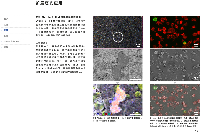 CN_40_011_095_GeminiSEM_rel_3_1-29 CN_40_011_095_GeminiSEM_rel_3_1-29