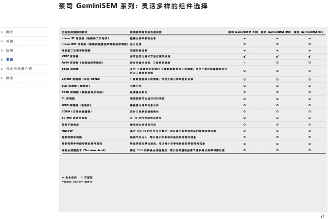 CN_40_011_095_GeminiSEM_rel_3_1-31 CN_40_011_095_GeminiSEM_rel_3_1-31